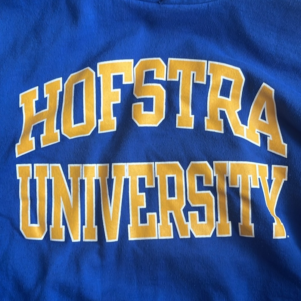 Hofstra University Pride Champion Hoodie Sweatshirt Mens‎ Size M New York NCAA